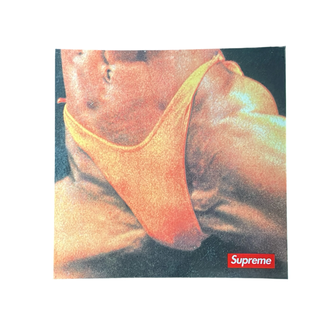 Supreme Butthole Surfers Rembrandt Pussyhorse Sticker aus der Spring Summer 2021 Kollektion